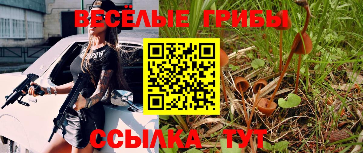 Галлюциногенные грибы прущие грибы Каспийск
