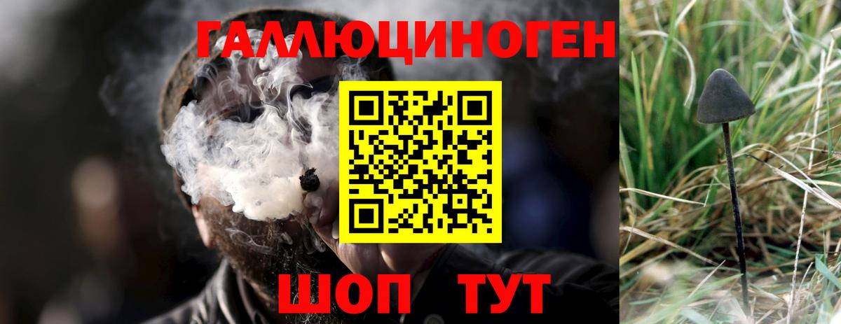 Галлюциногенные грибы мухоморы  Вход с VPN  Псилоцибиновые грибы Psilocybe  Каспийск 